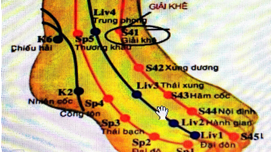 NGÂM CHÂN DƯỢC LIỆU